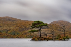 SL-eilandje-in-meer-LE-23